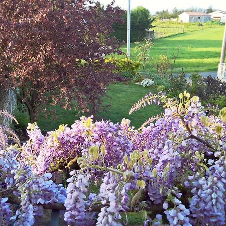 Les Glycines Bed & Breakfast Еме Екстериор снимка